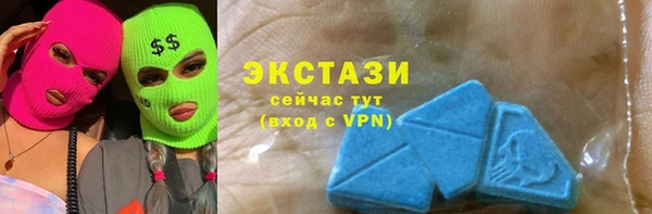 гашик Алексин