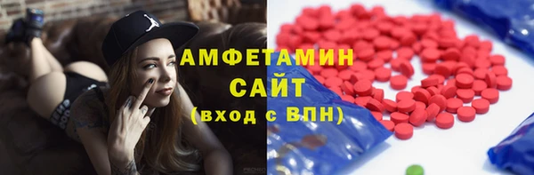 гашик Алексин