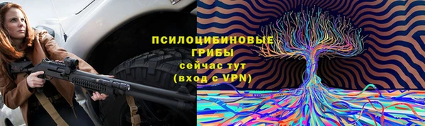 гашик Алексин